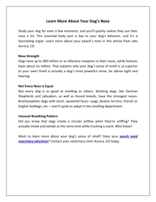 learn more about your dog s nose