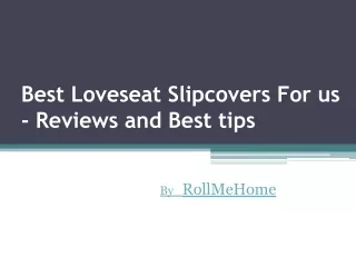 Best Loveseat Slipcover