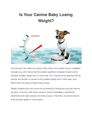 is your canine baby losing weight