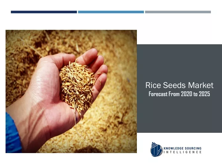 rice seeds market forecast from 2020 to 2025