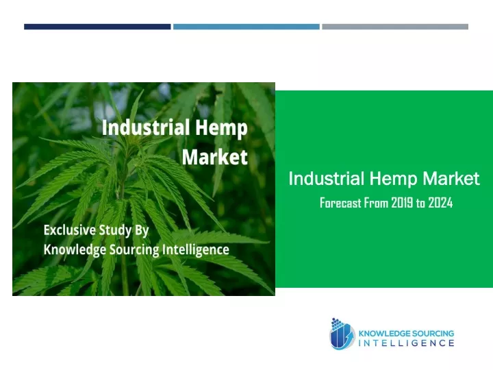 industrial hemp market forecast from 2019 to 2024
