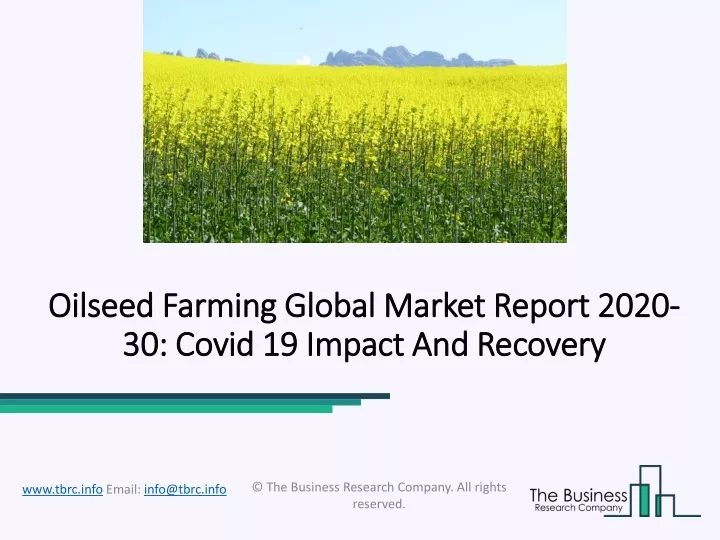 oilseed farming global market report 2020 oilseed