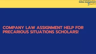 company law assignment help for precarious
