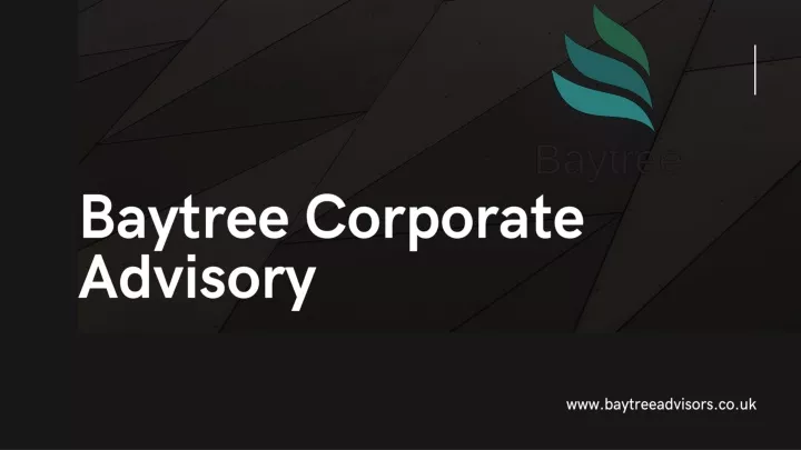 baytree corporate advisory