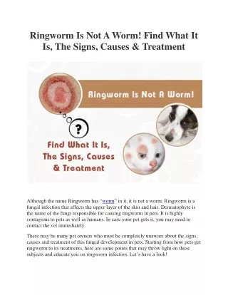 Ringworm Is Not A Worm! Find What It Is, The Signs, Causes & Treatment