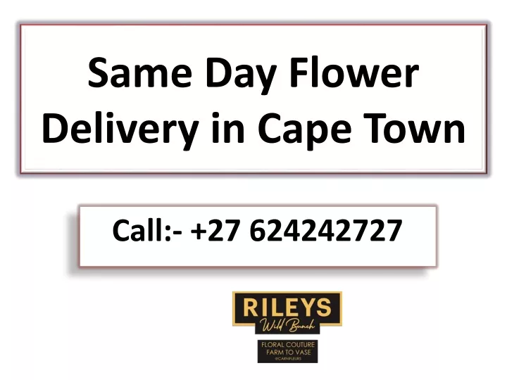 same day flower delivery in cape town