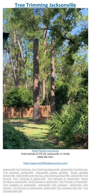 tree trimming jacksonville