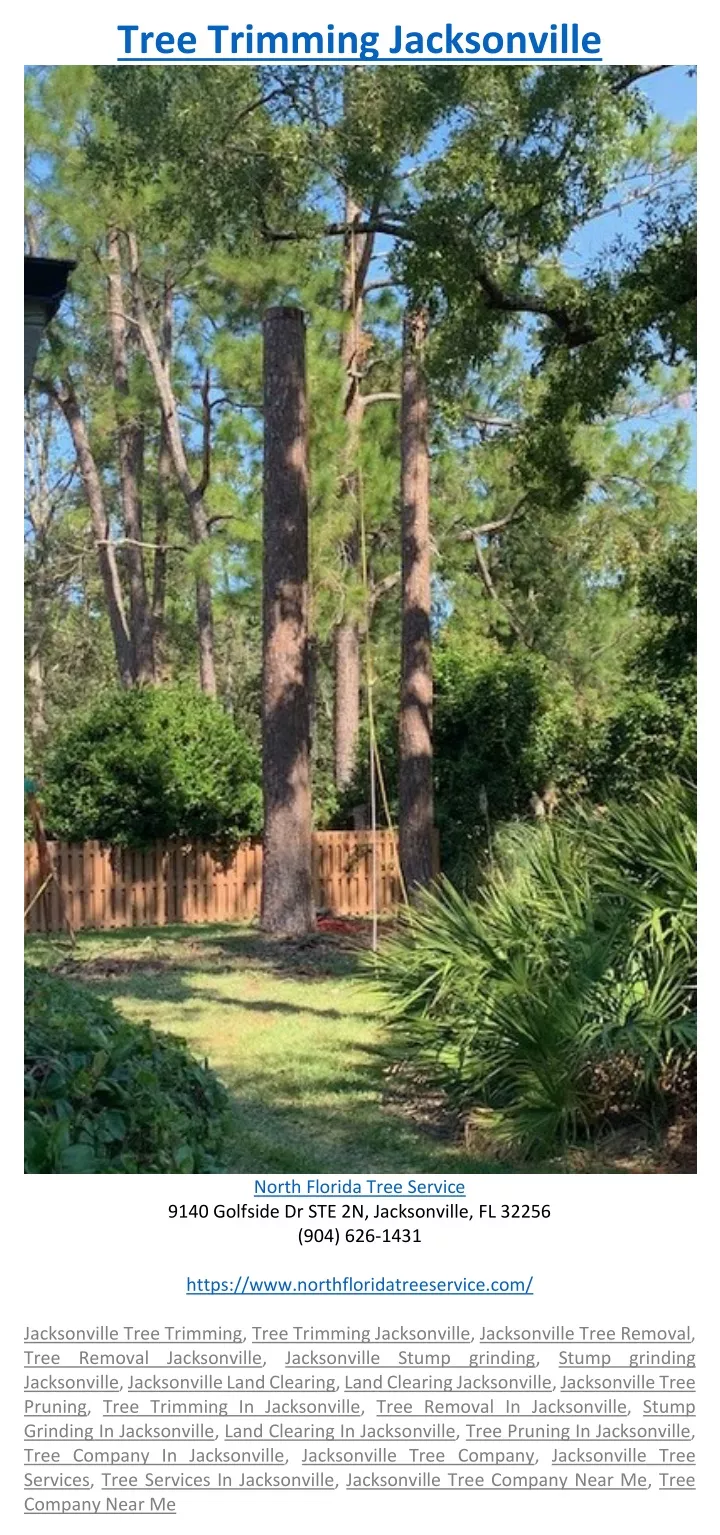 tree trimming jacksonville