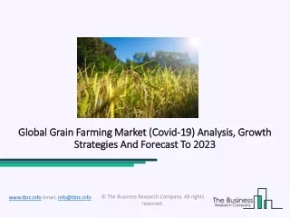 Grain Farming Market Outlook, Growth, Trends And Forecast 2023
