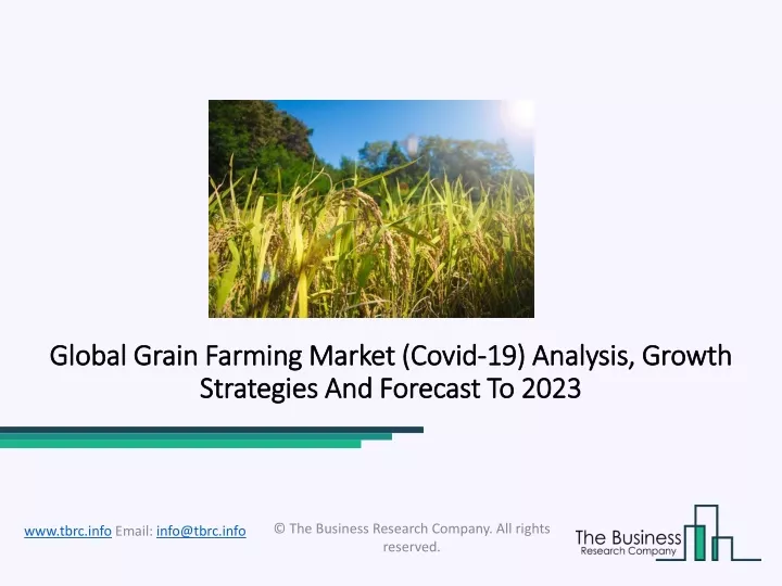 global global grain farming market grain farming