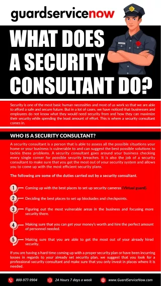 WHAT DOES A SECURITY CONSULTANT DO?