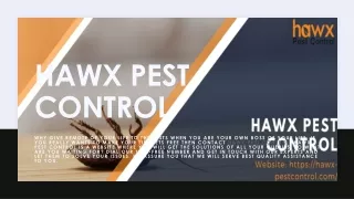Hawx pest control