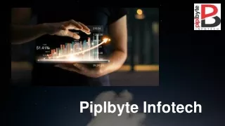 piplbyte infotech