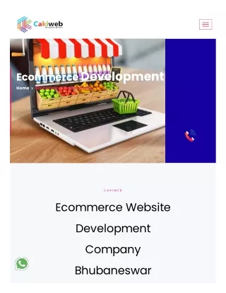 Ecommerce Web Development Company in Bhubaneswar