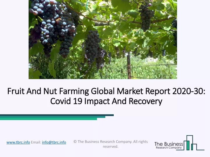 fruit and nut farming global market report 2020 30 covid 19 impact and recovery