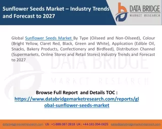 Sunflower Seeds Market Comprehensive Analysis, Share, Growth Forecast From 2020 To 2027