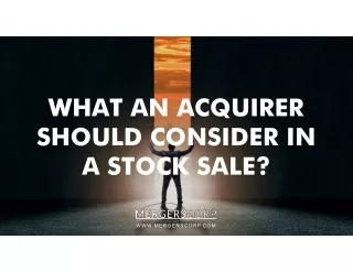 WHAT AN ACQUIRER SHOULD CONSIDER IN A STOCK SALE?