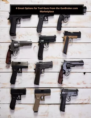 4 great options for trail guns from the gunbroker