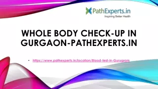 whole body check up in gurgaon pathexperts in