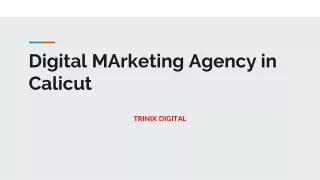 Best Digital Marketing Agency in Calicut | SEO Company Calicut