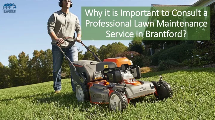 why it is important to consult a professional lawn maintenance service in brantford