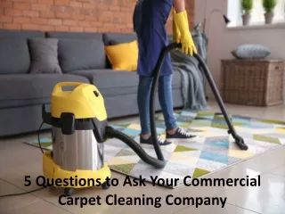 5 Questions to Ask Your Commercial Carpet Cleaning Company