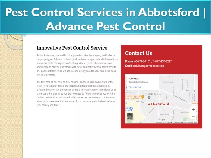 pest control services in abbotsford advance pest control