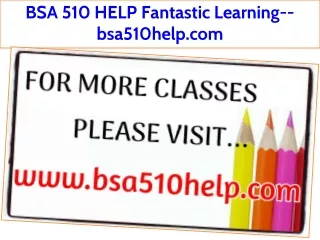 BSA 510 HELP Fantastic Learning--bsa510help.com