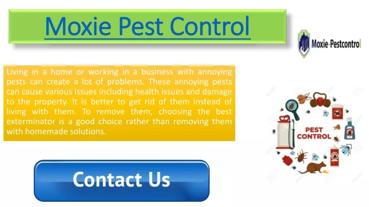 moxie moxie pest control pest control