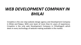 WEB DEVELOPMENT COMPANY IN BHILAI