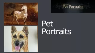 Pet Portraits in Hampshire and Berkshire