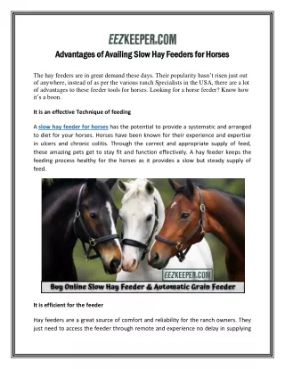 Advantages of Availing Slow Hay Feeders for Horses
