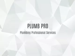 Plumb Pro - Plumbing Professional Services