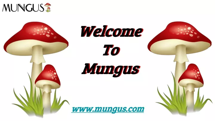 welcome to mungus