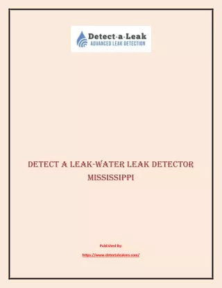 detect a leak water leak detector mississippi
