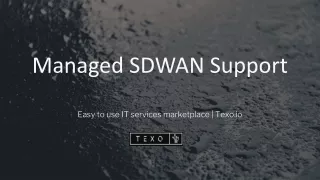 Managed SDWAN Support by texo