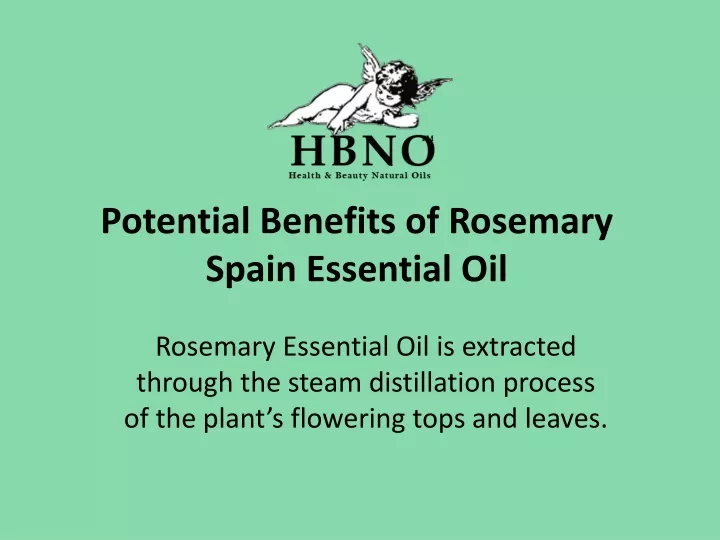 potential benefits of rosemary spain essential oil