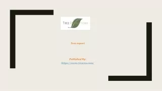 Tree expert