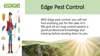 edge pest control edge pest control