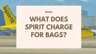 WHAT DOES SPIRIT CHARGE FOR BAGS?