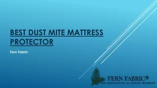 Best dust mite mattress protector