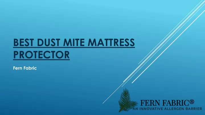 best dust mite mattress protector