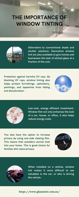 The Importance of Window Tinting - Infographic