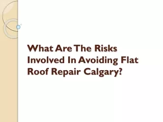 What Are The Risks Involved In Avoiding Flat Roof Repair Calgary?