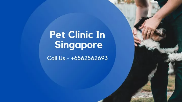 pet clinic in singapore