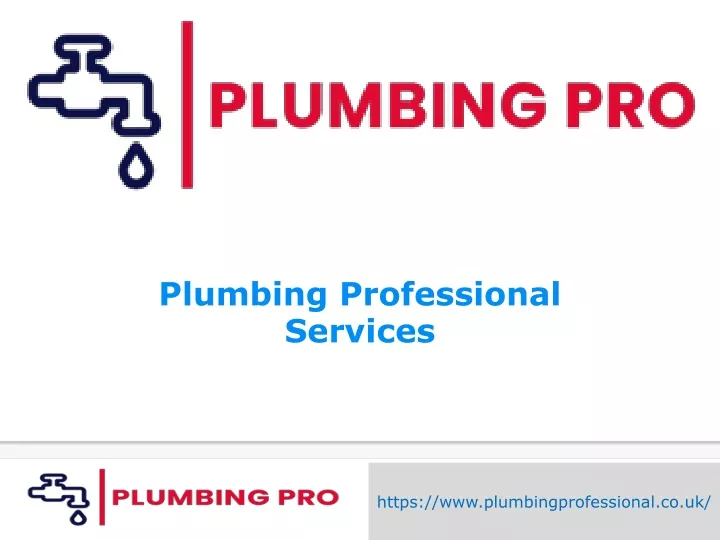 plumbing professional services