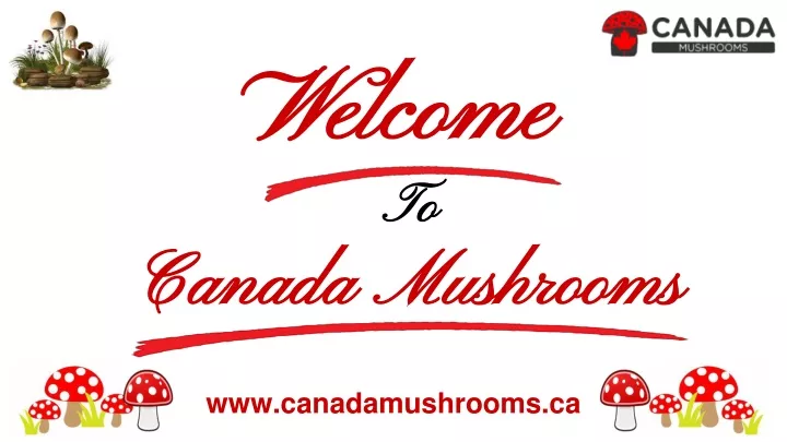 welcome to canada mushrooms