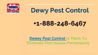 dewy pest control 1 888 248 6467