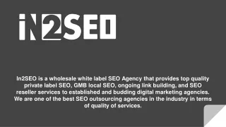 in2seo is a wholesale white label seo agency that