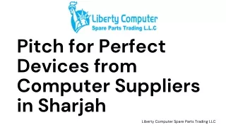 Pitch for Perfect Devices from Computer Suppliers in Sharjah